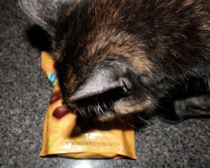 No really, it looks like my treats.