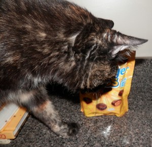 But it looks like my treats