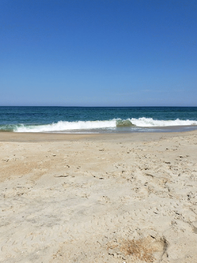 Gif of beach waves
