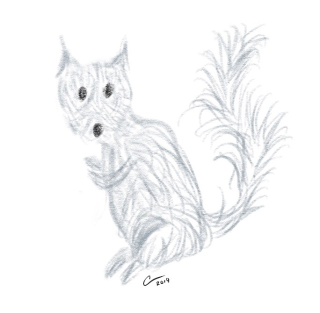 Sketch of a squirrel 