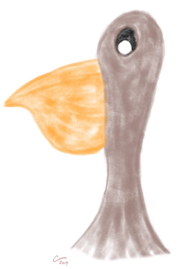 Cartoon sketch of a pelicans head