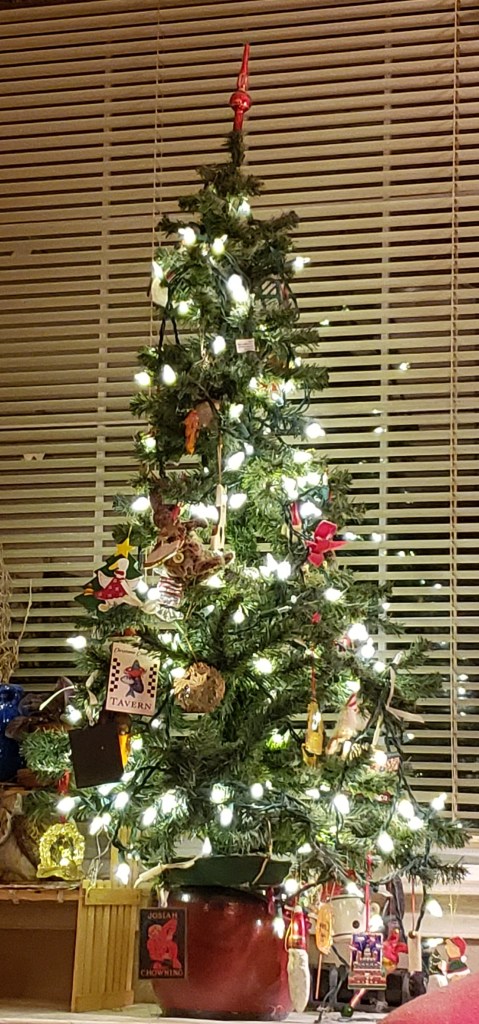 Little Christmas tree all lit up