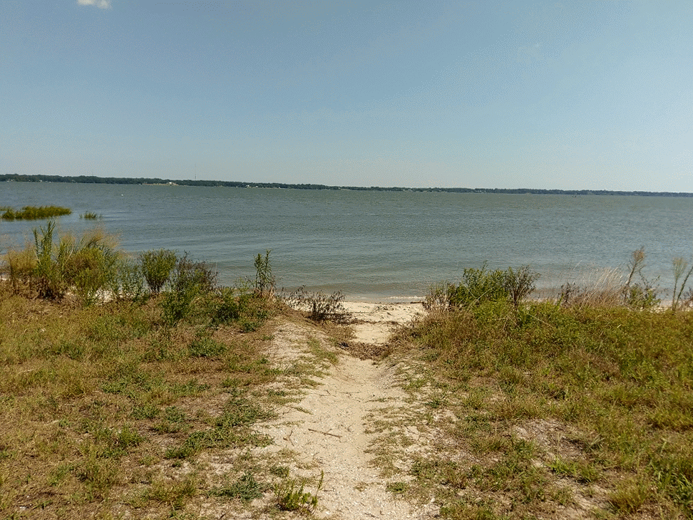 Gif of the water lapping up on the bank of the York River