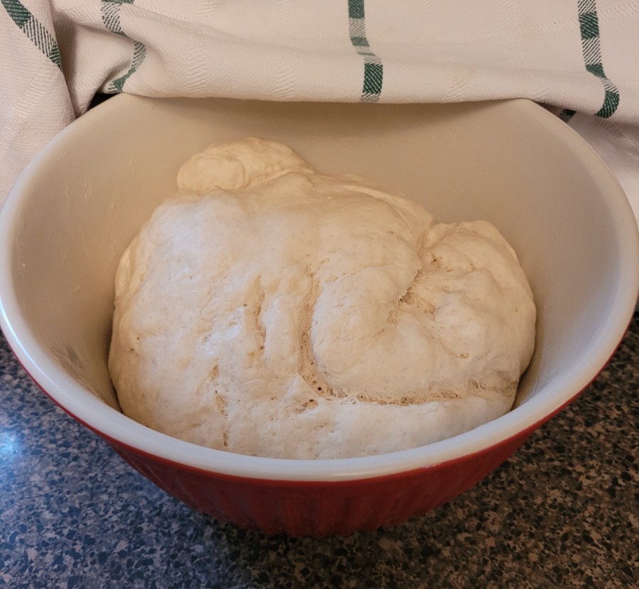 Bowl of bread dough