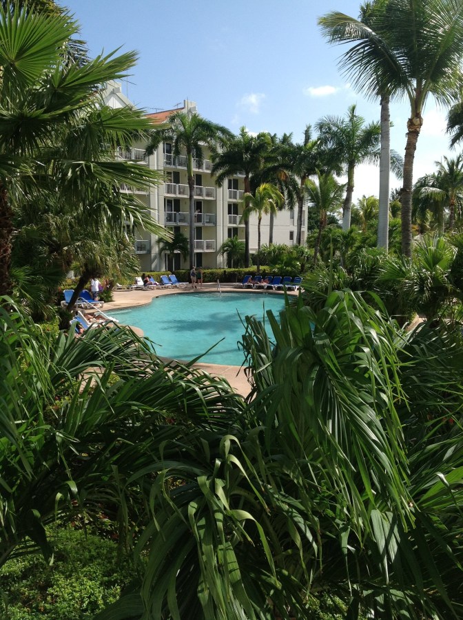 A view of a hotel pool in Aruba, surrounded by greenery