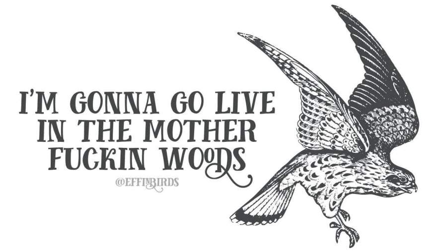 Effin Birds illusration of a raptor that says "I'm gonna go live in the motherfuckin woods"