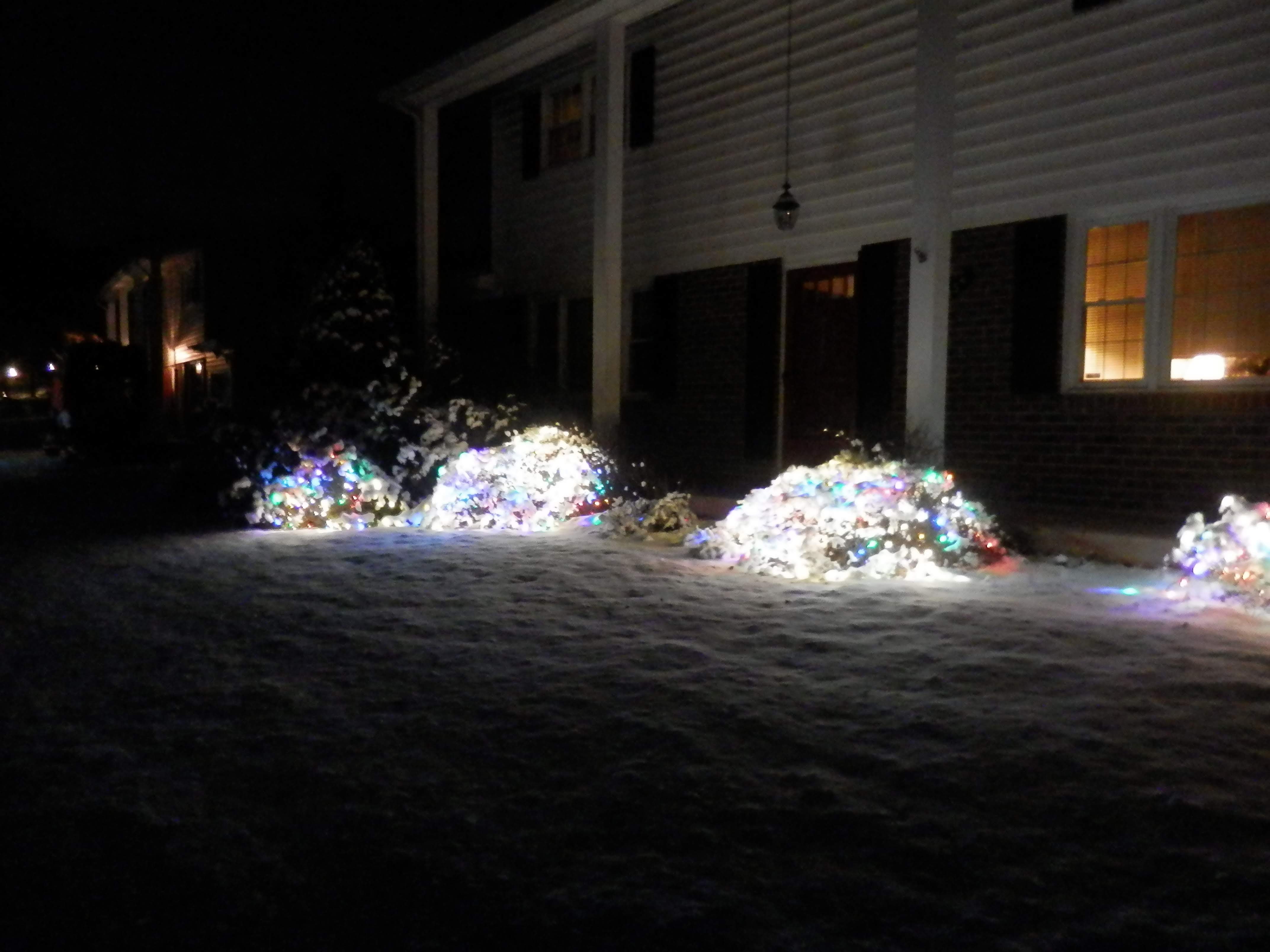 Christmas lights under a blanket of snow