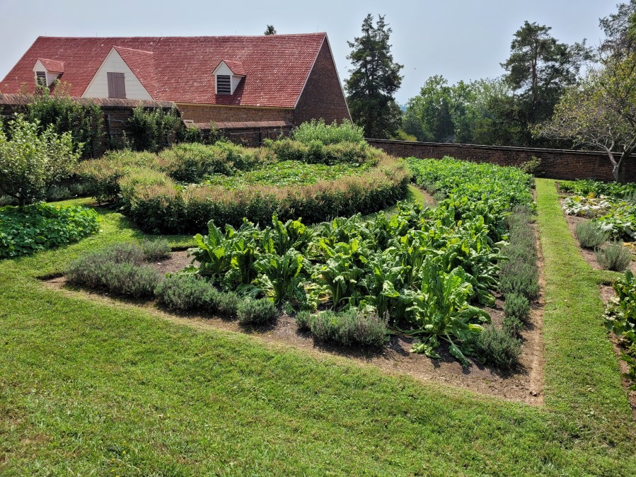 Kitchen gardens at Mount Vernon