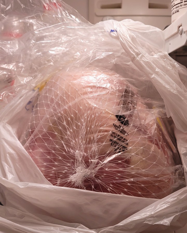 A big ol' turkey breast in netting in the fridge