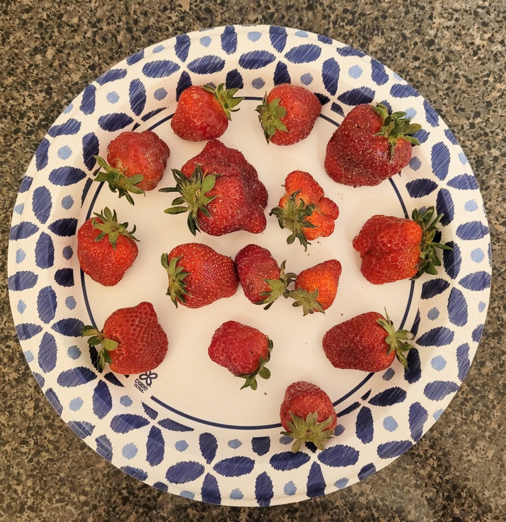 A plate full of strawberries from the farmers market in a variety of shapes and sizes