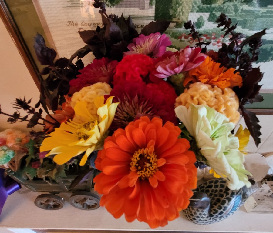 A big bouquet of multicolored zinnias