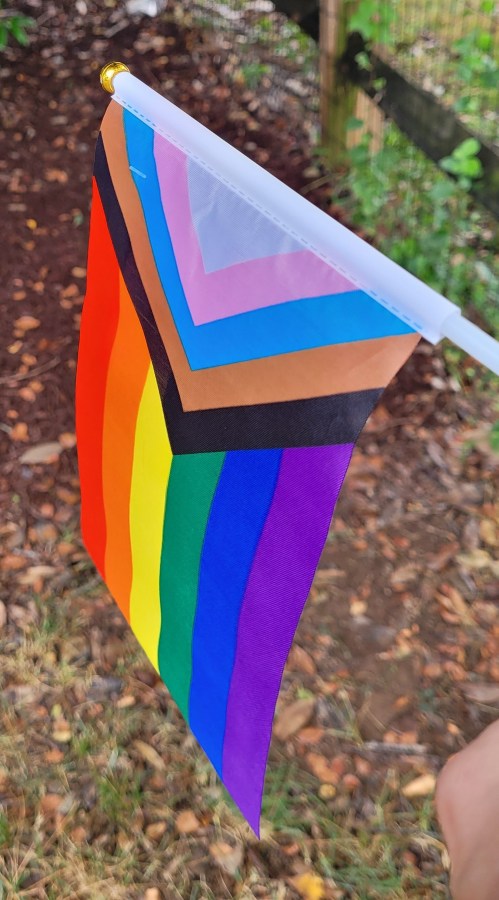 A little progress pride flag