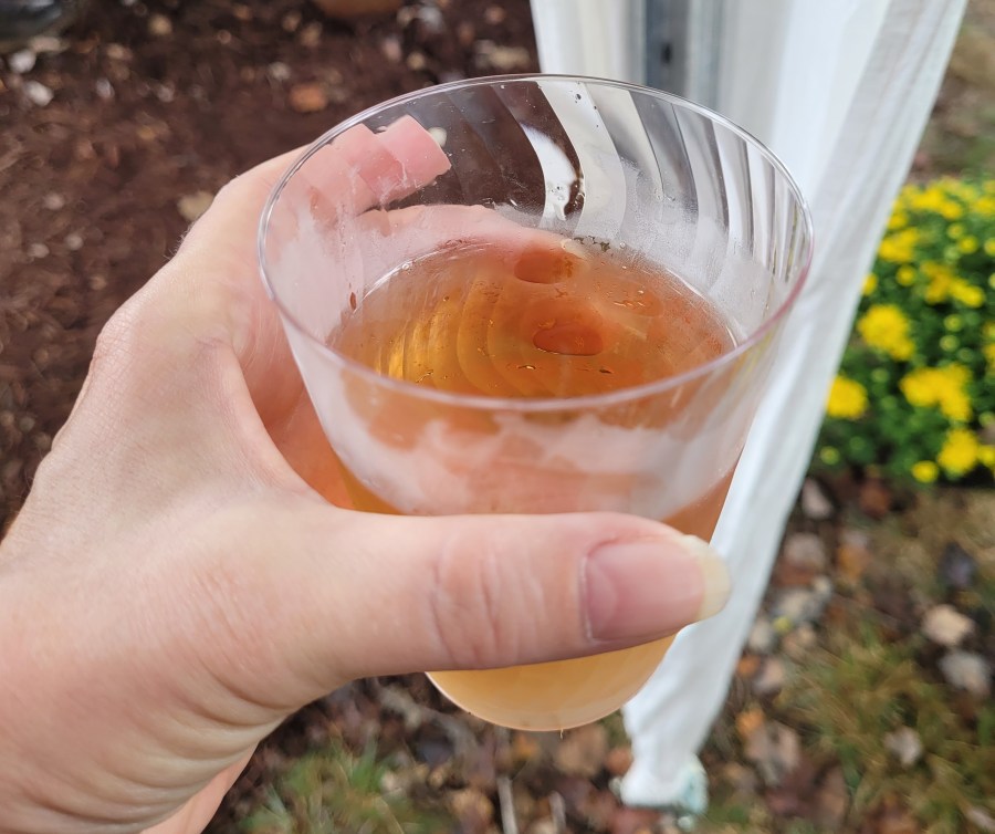 Shot of me holding a plastic cup of rose wine