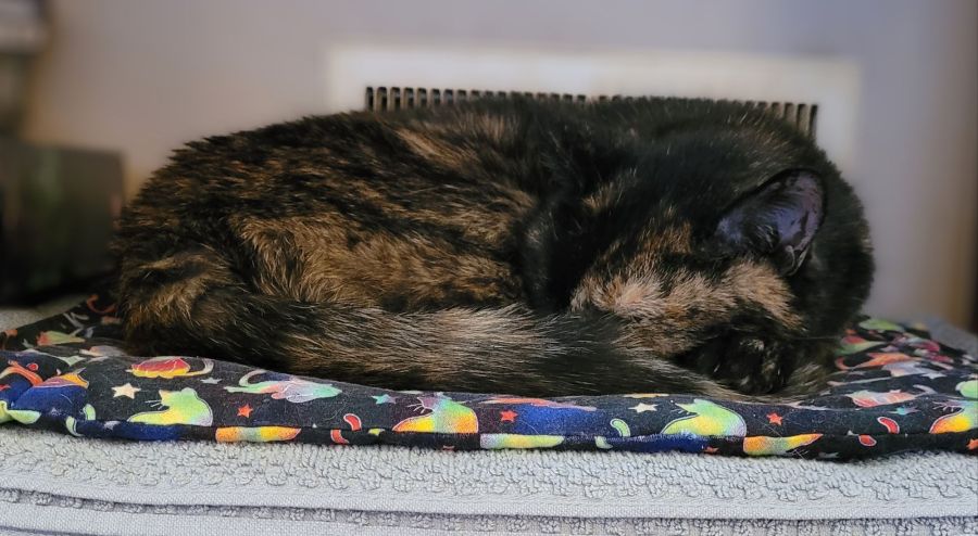 Lily, a black and orange tortoiseshell cat, curled up sleeping in front of the heat register, with her nose tucked under her tail.