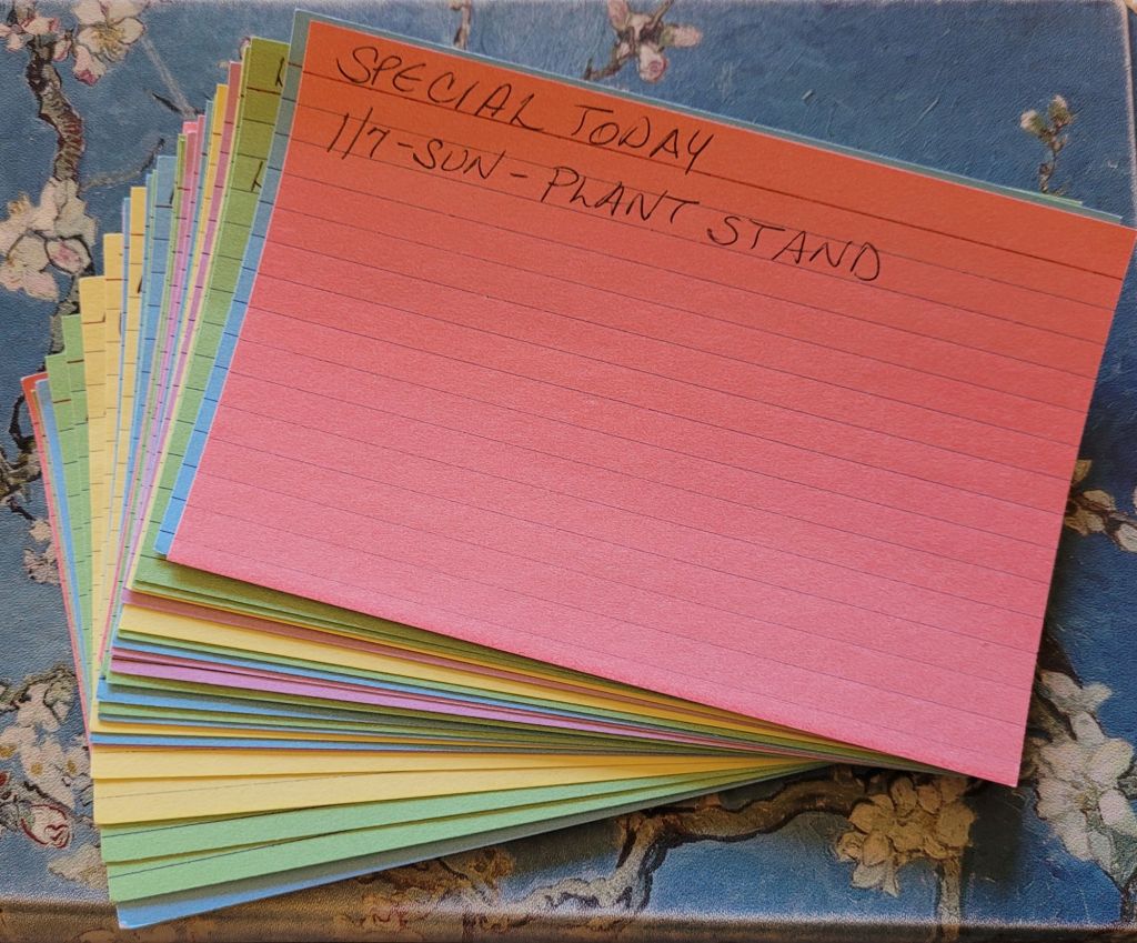 A stack of multicolored index cards - the top one says "Special Today: 1/7 - Sunday - Plant Stand
