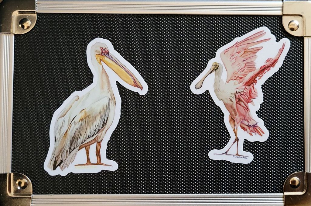 Top view of a black index card box. On the left there is a sticker of a pelican, and on the right, a sticker of a pink spoonbill bird