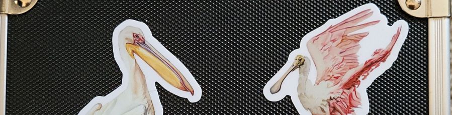 Top view of a black index card box. On the left there is a sticker of a pelican, and on the right, a sticker of a pink spoonbill bird
