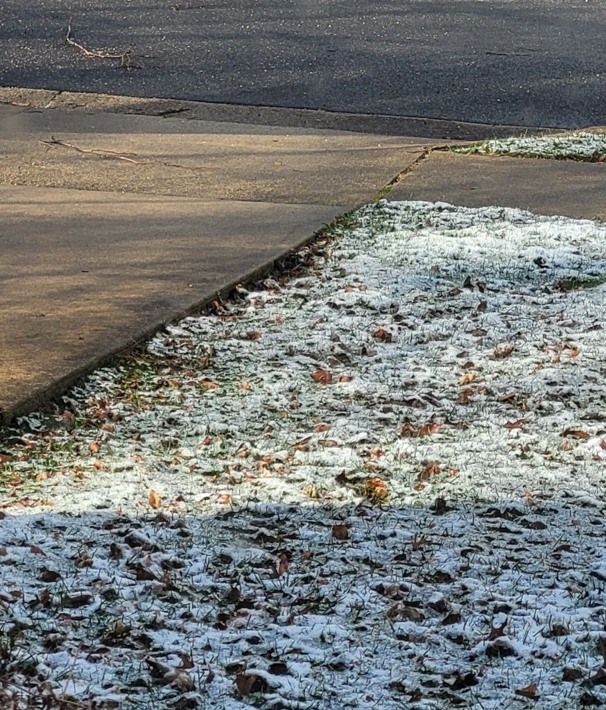 Shot of the corner of my yard next to the driveway. There is about a half inch of melting snow on the grass, and the driveway is just wet