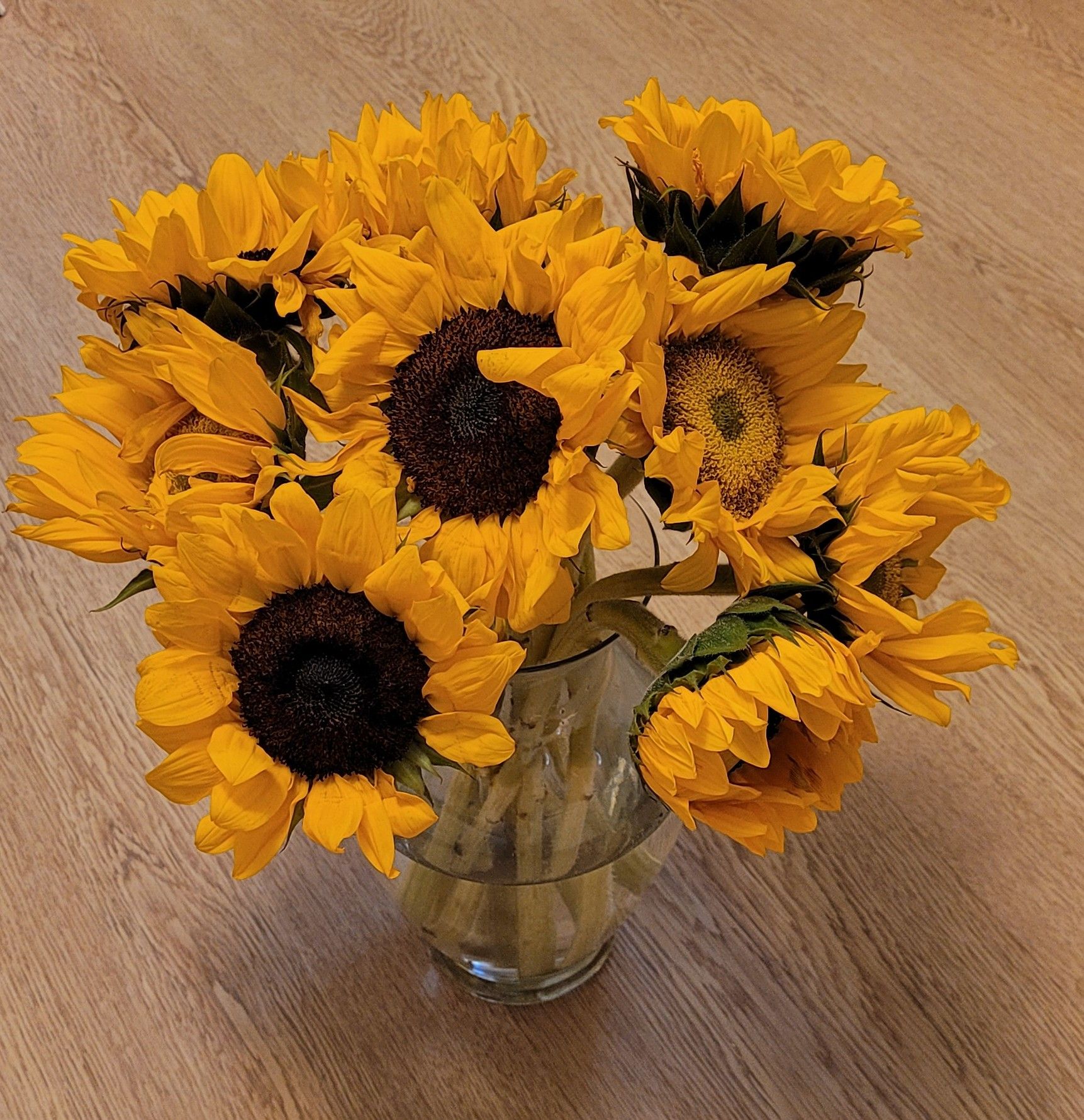 A vase of about a half dozen lovely sunflowers.