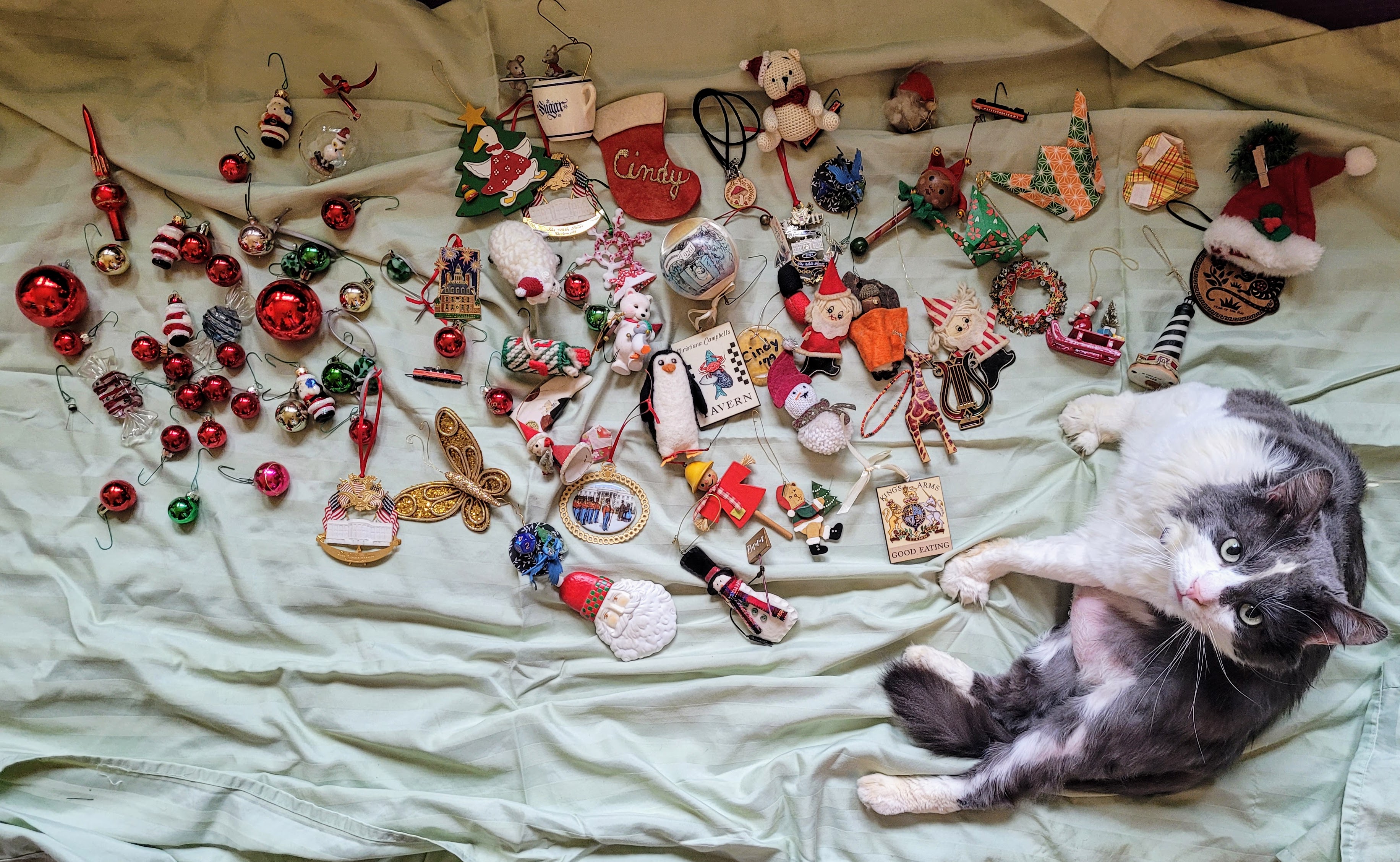 A sheet covered in Christmas ornaments, with Sean, a grey and white fluffy cat, laying beside it, looking up at the camera