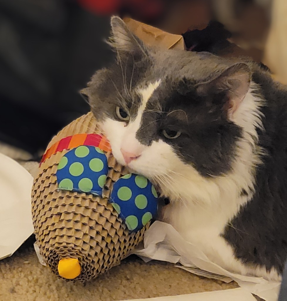Sean, a grey and white fluffy cat, resting his head on a corrugated cardboard "mouse" that is the size and shape of a small football.