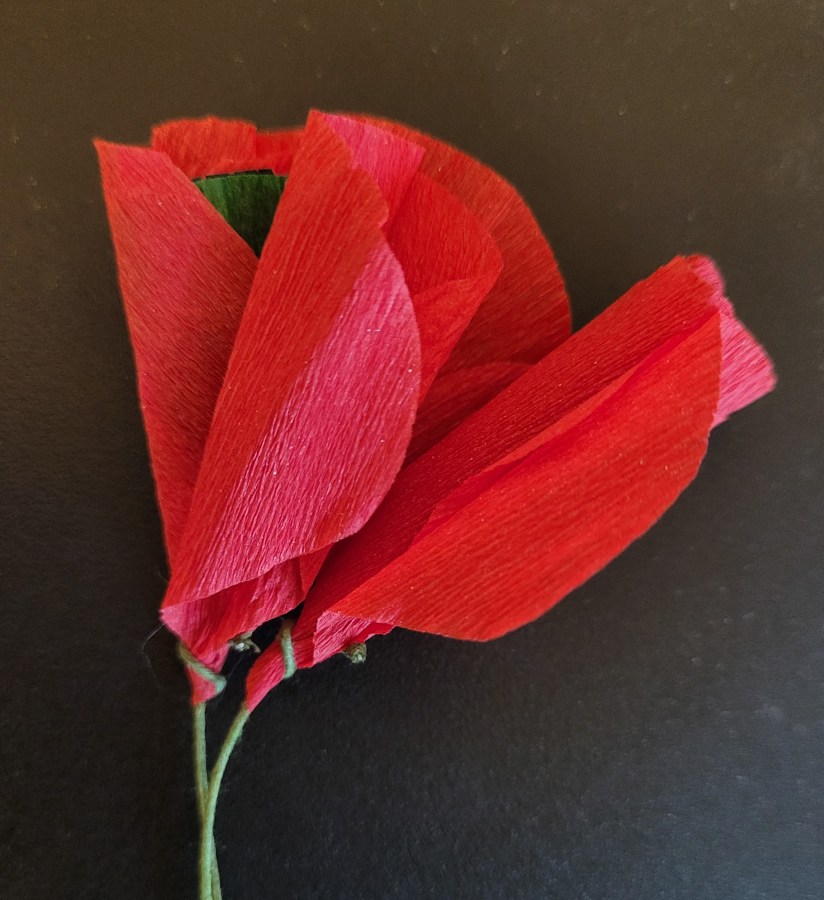 Two crepe paper red poppies from the American Legion for Memorial Day